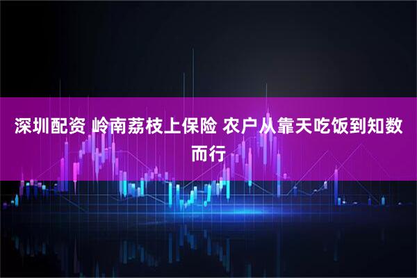 深圳配资 岭南荔枝上保险 农户从靠天吃饭到知数而行