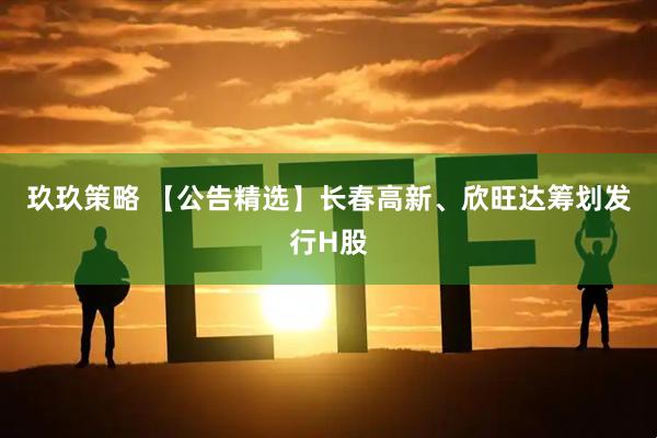 玖玖策略 【公告精选】长春高新、欣旺达筹划发行H股