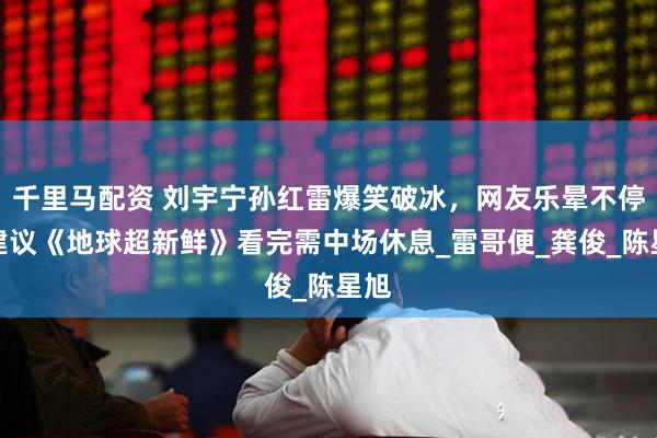 千里马配资 刘宇宁孙红雷爆笑破冰，网友乐晕不停，建议《地球超新鲜》看完需中场休息_雷哥便_龚俊_陈星旭