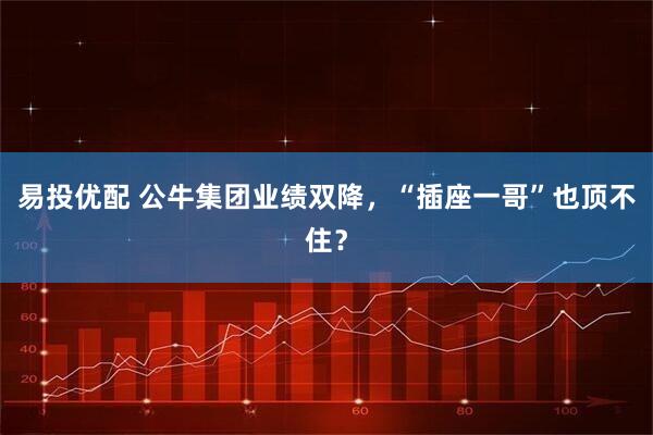 易投优配 公牛集团业绩双降，“插座一哥”也顶不住？