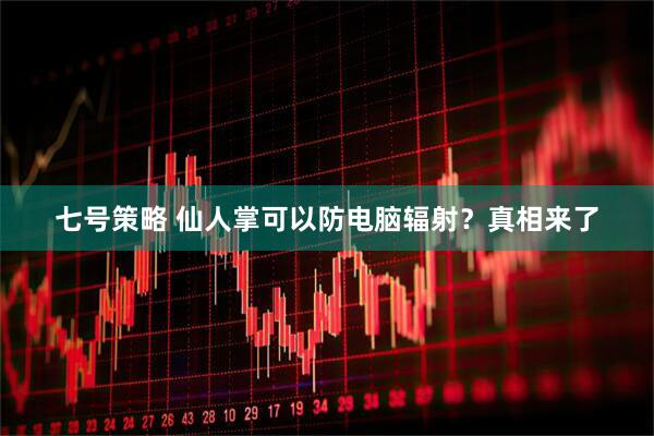 七号策略 仙人掌可以防电脑辐射？真相来了