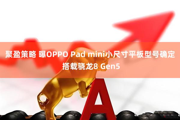 聚盈策略 曝OPPO Pad mini小尺寸平板型号确定 搭载骁龙8 Gen5